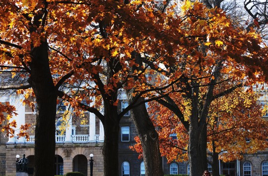 Bascom Hall behind the colorful leaves