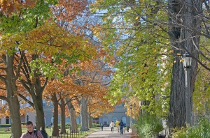 autumn colors walking up Bascom Hill